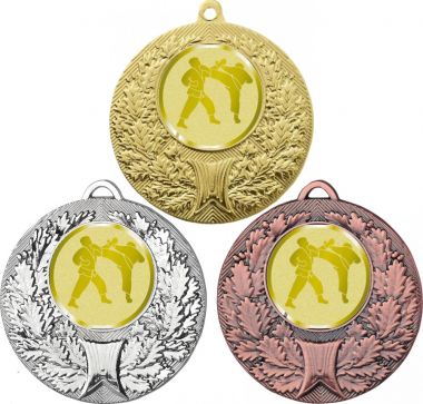 Комплект медалей №1028-192 (Каратэ, диаметр 50 мм (Три медали плюс три жетона для вклейки) Место для вставок: обратная сторона диаметр 45 мм)
