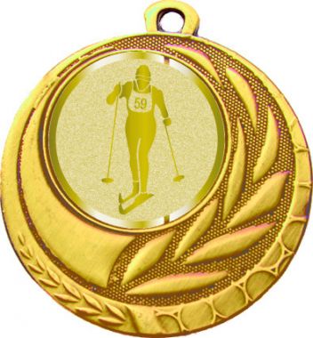 Медаль №1038-27 (Лыжный спорт, диаметр 45 мм (Медаль цвет золото плюс жетон для вклейки) Место для вставок: обратная сторона диаметр 39 мм)