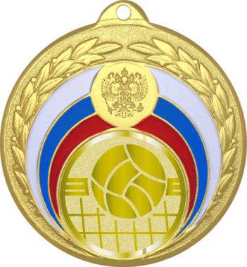 Медаль №1051-196 (Волейбол, диаметр 50 мм (Медаль цвет золото плюс жетон для вклейки) Место для вставок: обратная сторона диаметр 45 мм)