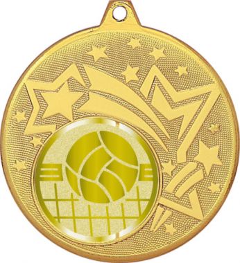 Медаль №1051-1274 (Волейбол, диаметр 45 мм (Медаль цвет золото плюс жетон для вклейки) Место для вставок: обратная сторона диаметр 40 мм)