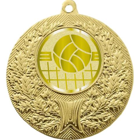 Медаль №1051-192 (Волейбол, диаметр 50 мм (Медаль цвет золото плюс жетон для вклейки) Место для вставок: обратная сторона диаметр 45 мм)