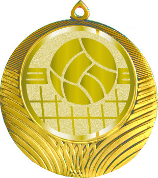 Медаль №1051-8 (Волейбол, диаметр 70 мм (Медаль цвет золото плюс жетон для вклейки) Место для вставок: обратная сторона диаметр 64 мм)
