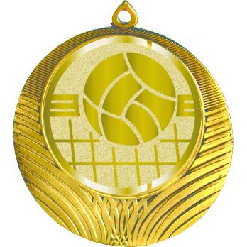 Медаль №1051-8 (Волейбол, диаметр 70 мм (Медаль цвет золото плюс жетон для вклейки) Место для вставок: обратная сторона диаметр 64 мм)
