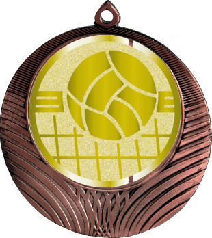 Медаль №1051-8 (Волейбол, диаметр 70 мм (Медаль цвет бронза плюс жетон для вклейки) Место для вставок: обратная сторона диаметр 64 мм)