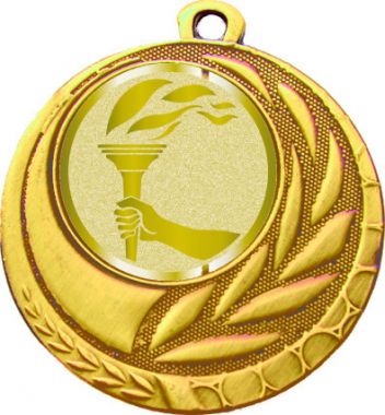 Медаль №1060-1274 (Факел, олимпиада, диаметр 45 мм (Медаль цвет золото плюс жетон для вклейки) Место для вставок: обратная сторона диаметр 40 мм)