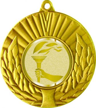 Медаль №1060-192 (Факел, олимпиада, диаметр 50 мм (Медаль цвет золото плюс жетон для вклейки) Место для вставок: обратная сторона диаметр 45 мм)