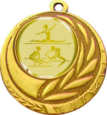 Медаль №1064-27 (Гимнастика, диаметр 45 мм (Медаль цвет золото плюс жетон для вклейки) Место для вставок: обратная сторона диаметр 39 мм)