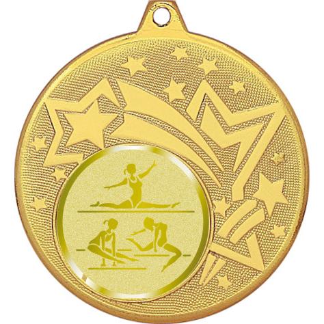 Медаль №1064-1274 (Спортивная гимнастика, диаметр 45 мм (Медаль цвет золото плюс жетон для вклейки) Место для вставок: обратная сторона диаметр 40 мм)