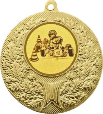 Медаль №11-192 (Картинг, диаметр 50 мм (Медаль цвет золото плюс жетон для вклейки) Место для вставок: обратная сторона диаметр 45 мм)