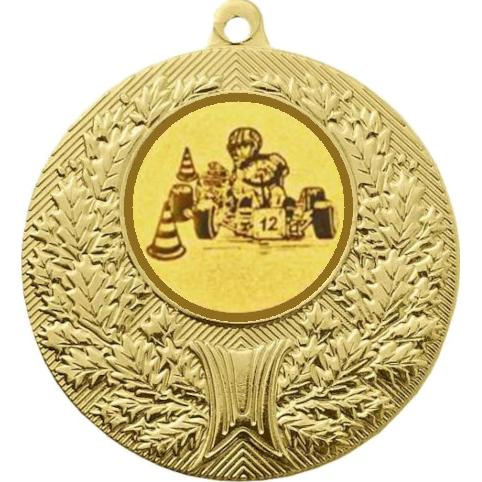 Медаль №11-192 (Картинг, диаметр 50 мм (Медаль цвет золото плюс жетон для вклейки) Место для вставок: обратная сторона диаметр 45 мм)