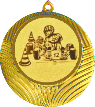 Медаль №11-8 (Картинг, диаметр 70 мм (Медаль цвет золото плюс жетон для вклейки) Место для вставок: обратная сторона диаметр 64 мм)