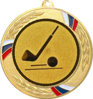 Медаль №1124-1285 (Гольф, диаметр 70 мм (Медаль цвет золото плюс жетон для вклейки) Место для вставок: обратная сторона диаметр 60 мм)