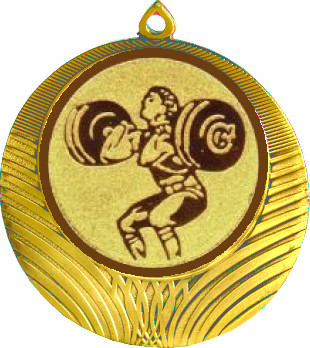 Медаль №1128-8 (Тяжелая атлетика, диаметр 70 мм (Медаль цвет золото плюс жетон для вклейки) Место для вставок: обратная сторона диаметр 64 мм)