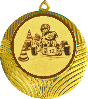 Медаль №113-8 (Автоспорт, диаметр 70 мм (Медаль цвет золото плюс жетон для вклейки) Место для вставок: обратная сторона диаметр 64 мм)