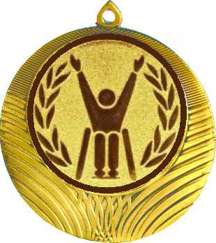 Медаль №1184-8 (Параолимпийский спорт, диаметр 70 мм (Медаль цвет золото плюс жетон для вклейки) Место для вставок: обратная сторона диаметр 64 мм)