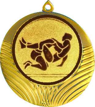 Медаль №1185-1302 (Борьба, диаметр 56 мм (Медаль цвет золото плюс жетон для вклейки) Место для вставок: обратная сторона диаметр 50 мм)