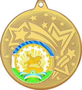 Медаль №1195-1274 (Гербы регионов, диаметр 45 мм (Медаль цвет золото плюс жетон для вклейки) Место для вставок: обратная сторона диаметр 40 мм)