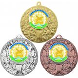 Комплект медалей №1195-192 (Гербы регионов, диаметр 50 мм (Три медали плюс три жетона для вклейки) Место для вставок: обратная сторона диаметр 45 мм)