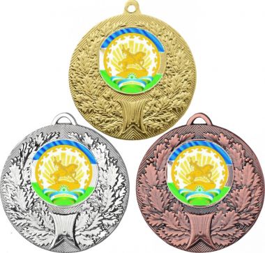 Комплект медалей №1195-192 (Гербы регионов, диаметр 50 мм (Три медали плюс три жетона для вклейки) Место для вставок: обратная сторона диаметр 45 мм)