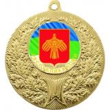 Медаль №1196-192 (Гербы регионов, диаметр 50 мм (Медаль цвет золото плюс жетон для вклейки) Место для вставок: обратная сторона диаметр 45 мм)