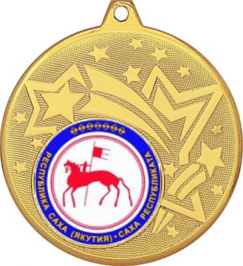Медаль №1201-1274 (Гербы регионов, диаметр 45 мм (Медаль цвет золото плюс жетон для вклейки) Место для вставок: обратная сторона диаметр 40 мм)