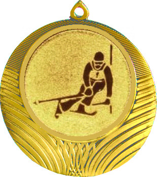 Медаль №124-8 (Лыжный спорт, диаметр 70 мм (Медаль цвет золото плюс жетон для вклейки) Место для вставок: обратная сторона диаметр 64 мм)