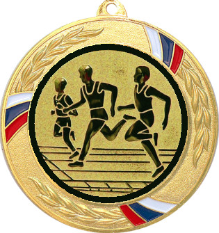 Медаль №17-1285 (Бег, диаметр 70 мм (Медаль цвет золото плюс жетон для вклейки) Место для вставок: обратная сторона диаметр 60 мм)