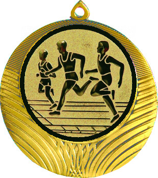 Медаль №17-1302 (Бег, диаметр 56 мм (Медаль цвет золото плюс жетон для вклейки) Место для вставок: обратная сторона диаметр 50 мм)