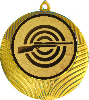 Медаль №2-1302 (Стрельба, диаметр 56 мм (Медаль цвет золото плюс жетон для вклейки) Место для вставок: обратная сторона диаметр 50 мм)