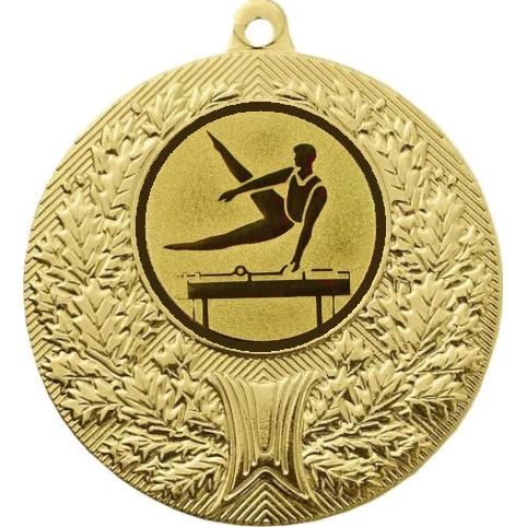 Медаль №22-192 (Спортивная гимнастика, диаметр 50 мм (Медаль цвет золото плюс жетон для вклейки) Место для вставок: обратная сторона диаметр 45 мм)