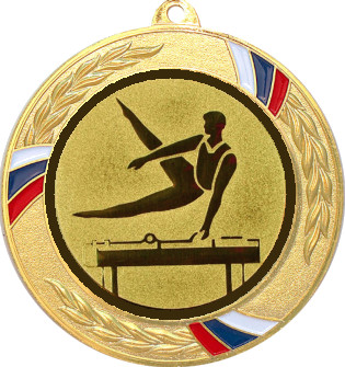 Медаль №22-1285 (Гимнастика, диаметр 70 мм (Медаль цвет золото плюс жетон для вклейки) Место для вставок: обратная сторона диаметр 60 мм)