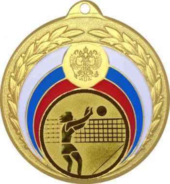 Медаль №26-196 (Волейбол, диаметр 50 мм (Медаль цвет золото плюс жетон для вклейки) Место для вставок: обратная сторона диаметр 45 мм)