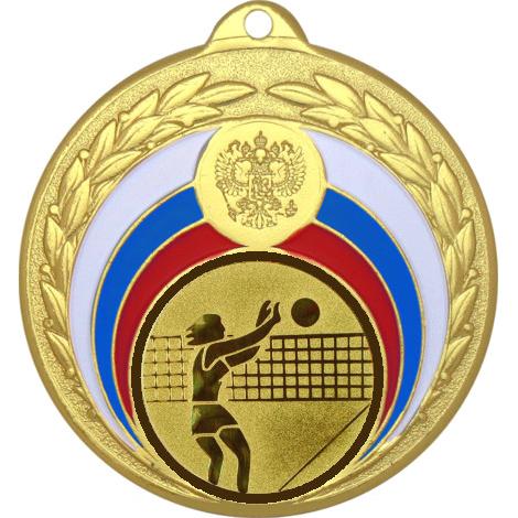 Медаль №26-196 (Волейбол, диаметр 50 мм (Медаль цвет золото плюс жетон для вклейки) Место для вставок: обратная сторона диаметр 45 мм)