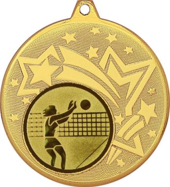 Медаль №26-27 (Волейбол, диаметр 45 мм (Медаль цвет золото плюс жетон для вклейки) Место для вставок: обратная сторона диаметр 39 мм)