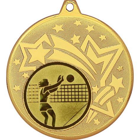 Медаль №26-1274 (Волейбол, диаметр 45 мм (Медаль цвет золото плюс жетон для вклейки) Место для вставок: обратная сторона диаметр 40 мм)