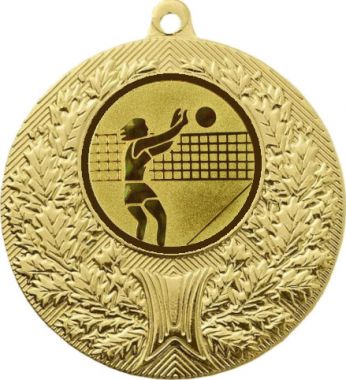 Медаль №26-192 (Волейбол, диаметр 50 мм (Медаль цвет золото плюс жетон для вклейки) Место для вставок: обратная сторона диаметр 45 мм)
