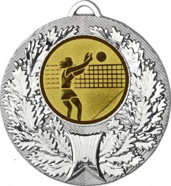 Медаль №26-192 (Волейбол, диаметр 50 мм (Медаль цвет серебро плюс жетон для вклейки) Место для вставок: обратная сторона диаметр 45 мм)