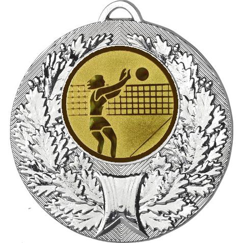 Медаль №26-192 (Волейбол, диаметр 50 мм (Медаль цвет серебро плюс жетон для вклейки) Место для вставок: обратная сторона диаметр 45 мм)