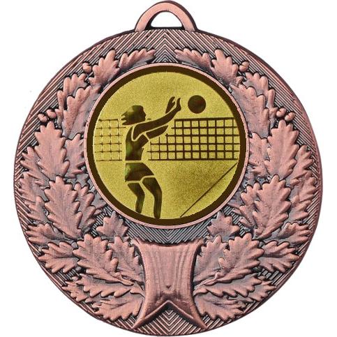 Медаль №26-192 (Волейбол, диаметр 50 мм (Медаль цвет бронза плюс жетон для вклейки) Место для вставок: обратная сторона диаметр 45 мм)