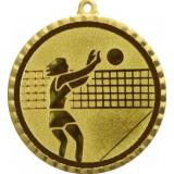 Медаль №26-8 (Волейбол, диаметр 70 мм (Медаль цвет золото плюс жетон для вклейки) Место для вставок: обратная сторона диаметр 64 мм)