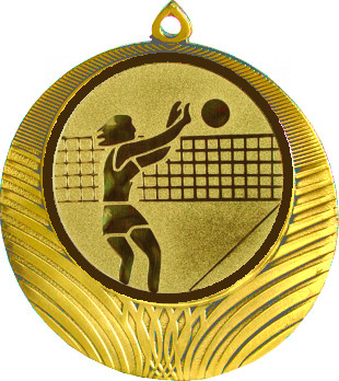 Медаль №26-1302 (Волейбол, диаметр 56 мм (Медаль цвет золото плюс жетон для вклейки) Место для вставок: обратная сторона диаметр 50 мм)