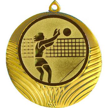 Медаль №26-1302 (Волейбол, диаметр 56 мм (Медаль цвет золото плюс жетон для вклейки) Место для вставок: обратная сторона диаметр 50 мм)