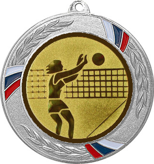 Медаль №26-1285 (Волейбол, диаметр 70 мм (Медаль цвет серебро плюс жетон для вклейки) Место для вставок: обратная сторона диаметр 60 мм)