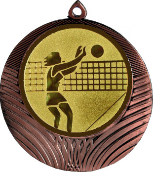 Медаль №26-8 (Волейбол, диаметр 70 мм (Медаль цвет бронза плюс жетон для вклейки) Место для вставок: обратная сторона диаметр 64 мм)
