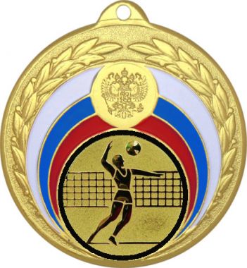 Медаль №27-196 (Волейбол, диаметр 50 мм (Медаль цвет золото плюс жетон для вклейки) Место для вставок: обратная сторона диаметр 45 мм)