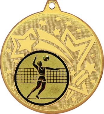 Медаль №27-27 (Волейбол, диаметр 45 мм (Медаль цвет золото плюс жетон для вклейки) Место для вставок: обратная сторона диаметр 39 мм)