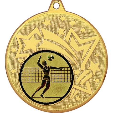 Медаль №27-1274 (Волейбол, диаметр 45 мм (Медаль цвет золото плюс жетон для вклейки) Место для вставок: обратная сторона диаметр 40 мм)