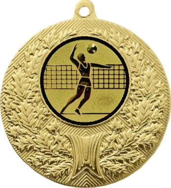 Медаль №27-192 (Волейбол, диаметр 50 мм (Медаль цвет золото плюс жетон для вклейки) Место для вставок: обратная сторона диаметр 45 мм)