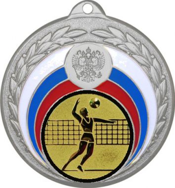 Медаль №27-196 (Волейбол, диаметр 50 мм (Медаль цвет серебро плюс жетон для вклейки) Место для вставок: обратная сторона диаметр 45 мм)