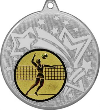 Медаль №27-27 (Волейбол, диаметр 45 мм (Медаль цвет серебро плюс жетон для вклейки) Место для вставок: обратная сторона диаметр 39 мм)
